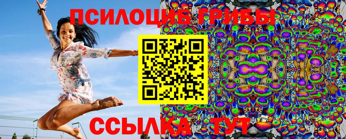 Галлюциногенные грибы Cubensis Ирбит