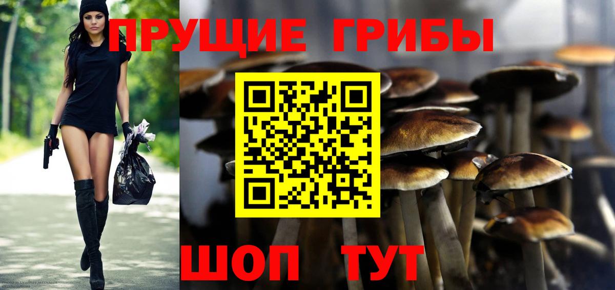 Ирбит  Псилоцибиновые грибы мицелий  Вход с VPN  Псилоцибиновые грибы Psilocybe 
